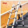 Alfim Telescopic double ladder_wm (2)