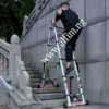 Alfim telescopic ladder on staircase_wm
